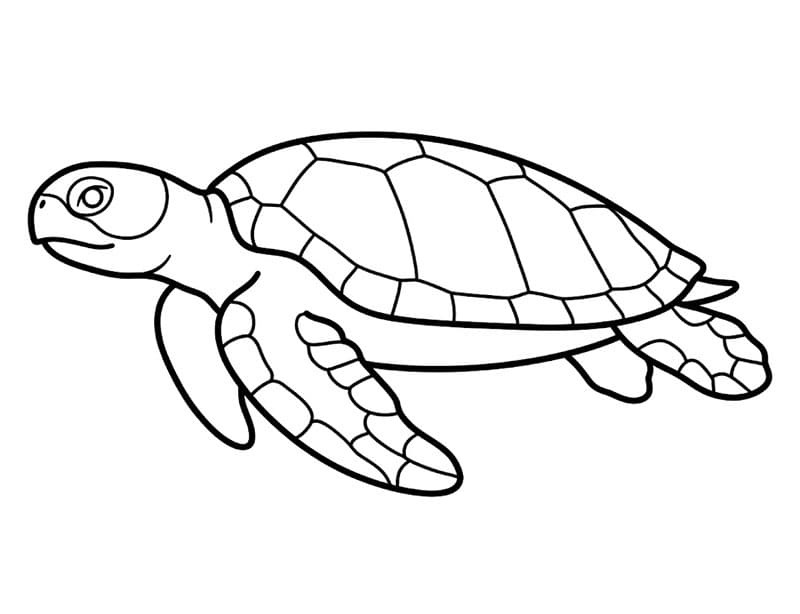 Silhouette tartaruga marine da colorare