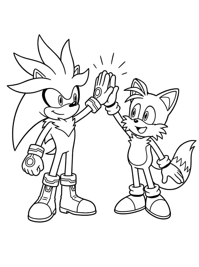 Silver the Hedgehog e Tails da colorare
