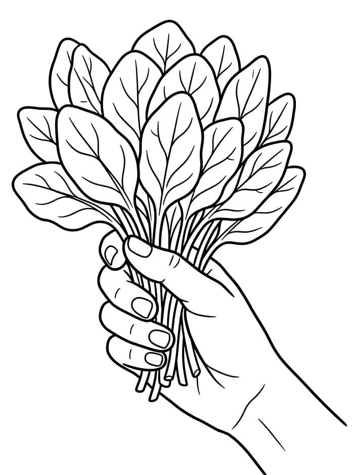 Spinaci a portata di mano da colorare