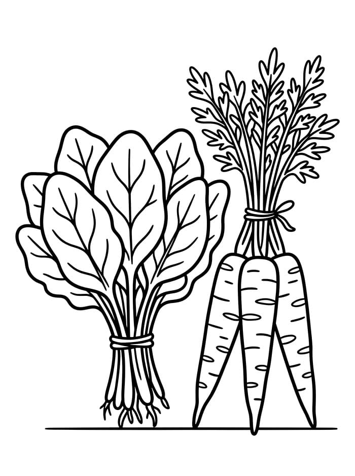 Spinaci accanto alle carote da colorare