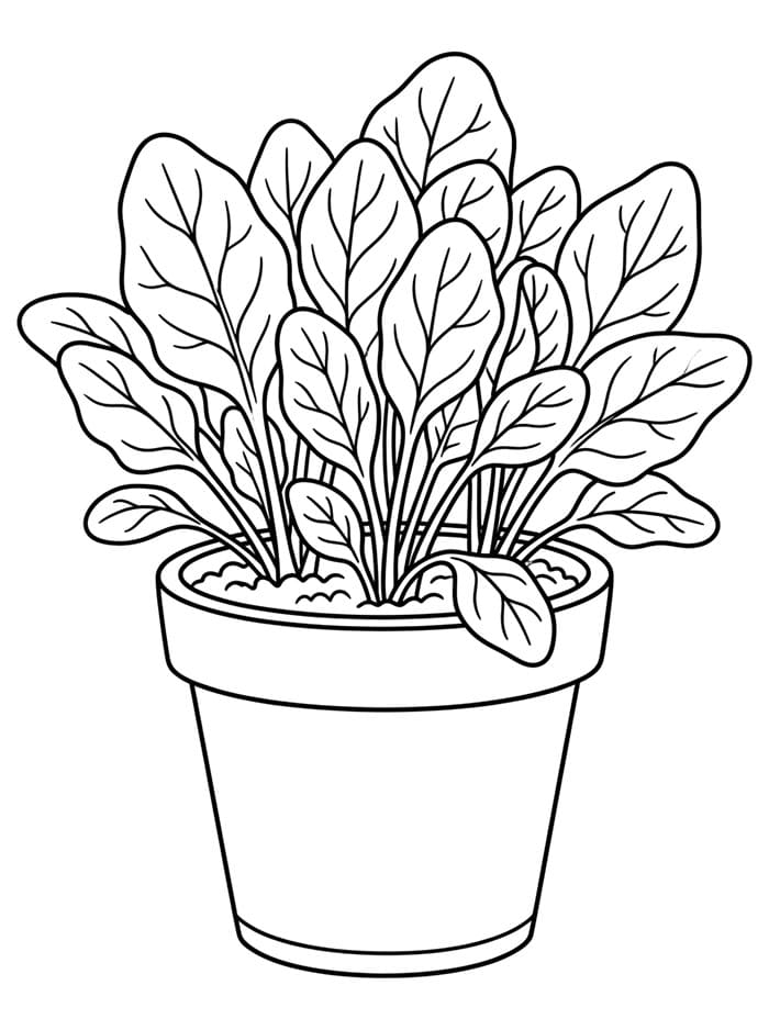 Spinaci in un vaso di fiori da colorare