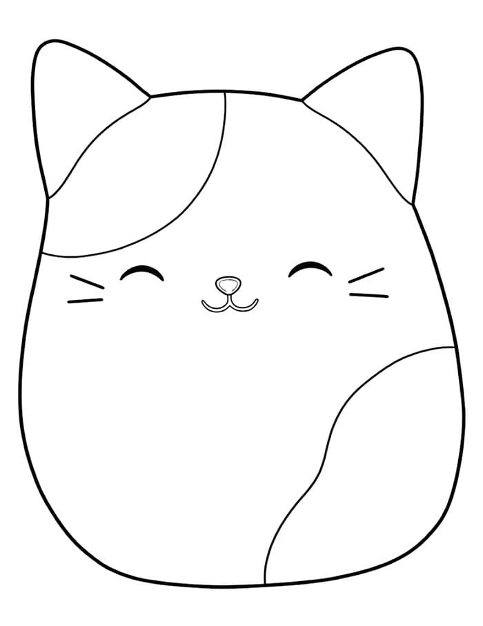 Squishmallows Cam da colorare