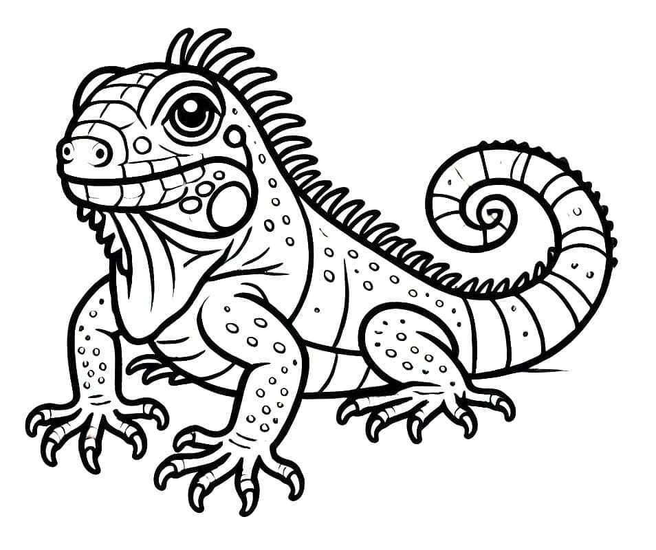 Stampa Iguana da colorare Stampa Iguana da colorare