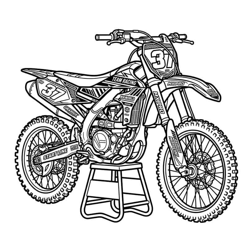 Stile targa motocross da colorare