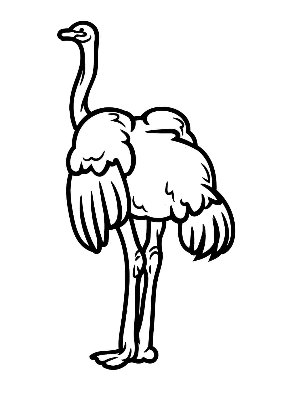 Struzzo disegnato a mano da colorare