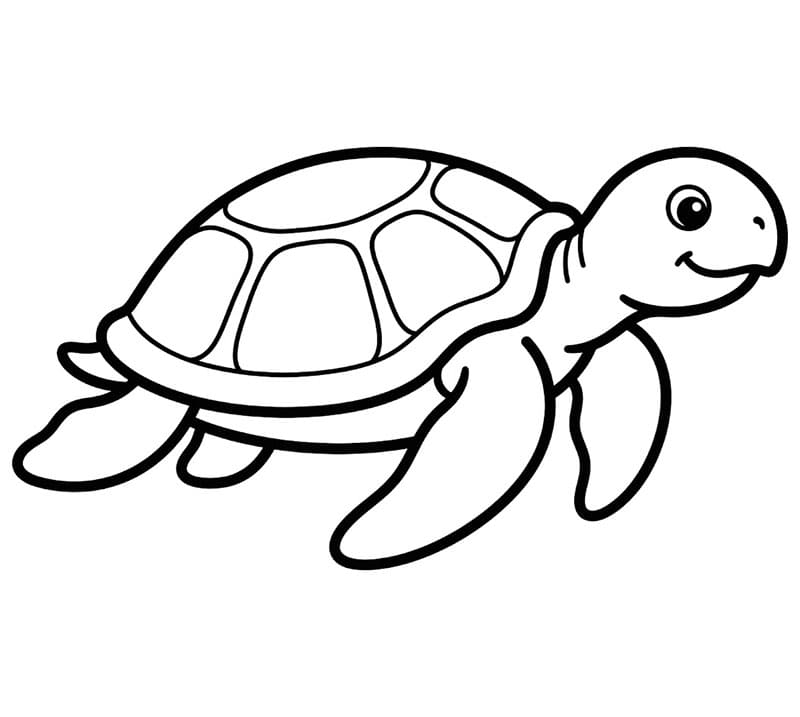 Tartaruga marina di base da colorare