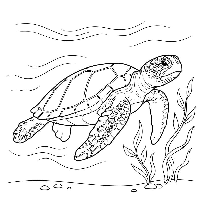 Tartaruga marina gigante da colorare