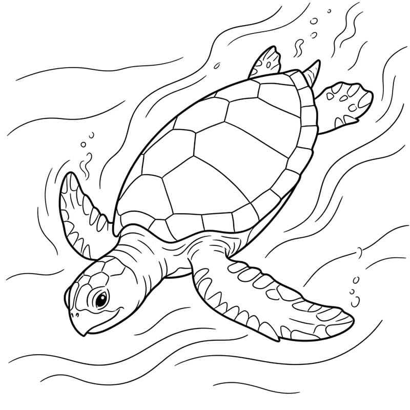 Tartaruga marine che scende da colorare