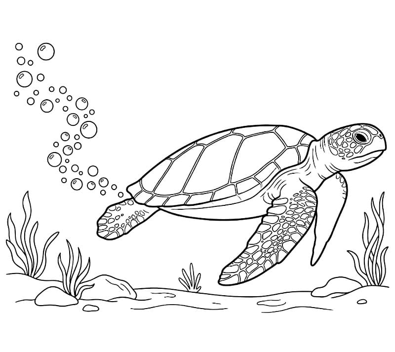 Tartaruga marine e bolle da colorare