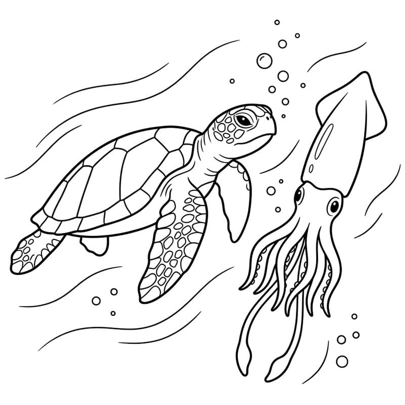 Tartaruga marine e calamaro da colorare