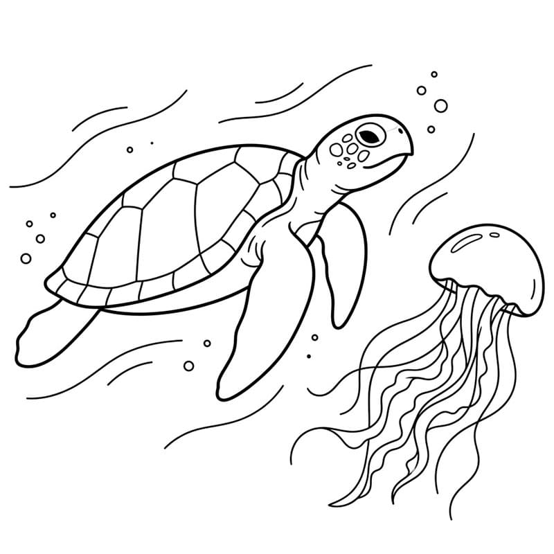 Tartaruga marine e medusa da colorare