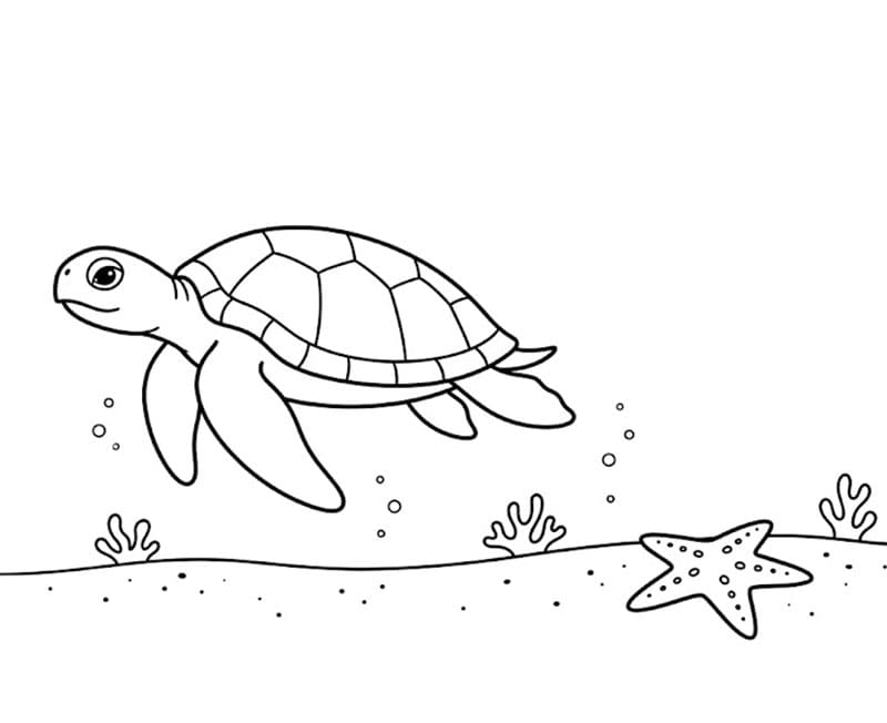 Tartaruga marine e stella marina da colorare