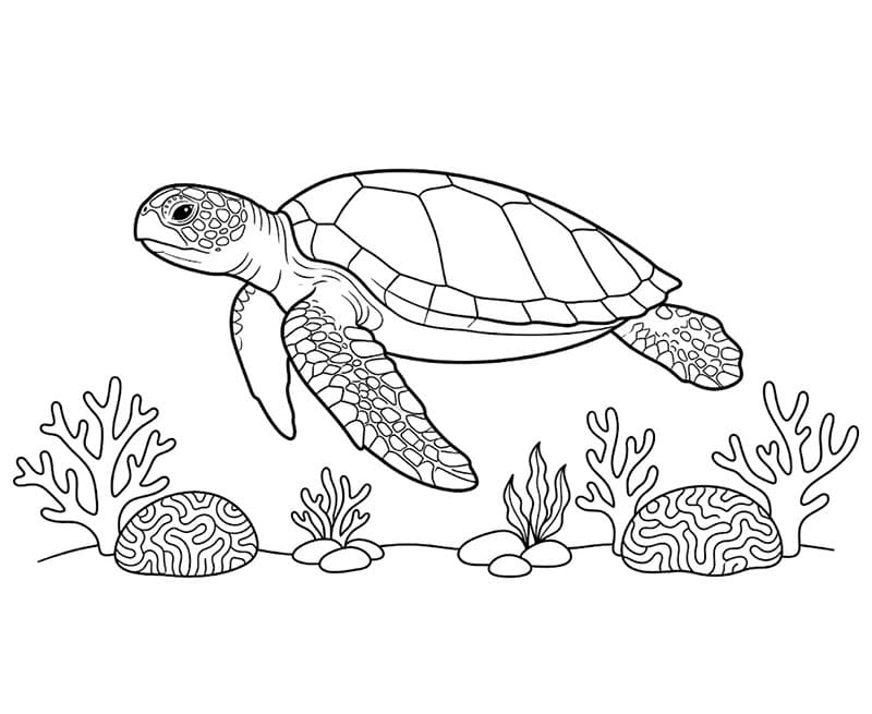 Tartarughe marine che si immergono da colorare