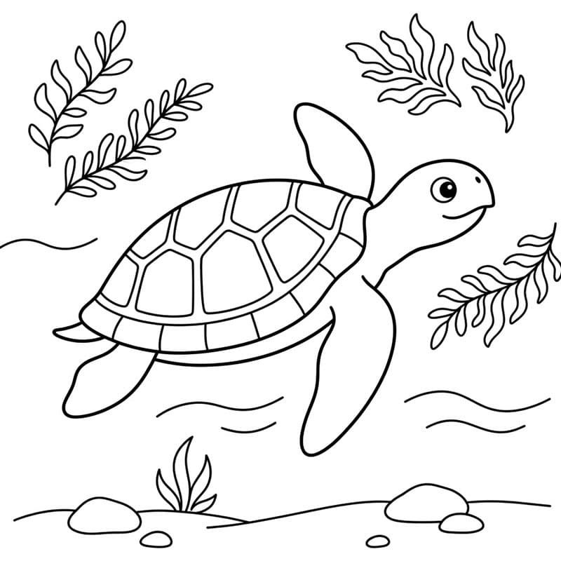 Tartarughe marine e alghe da colorare