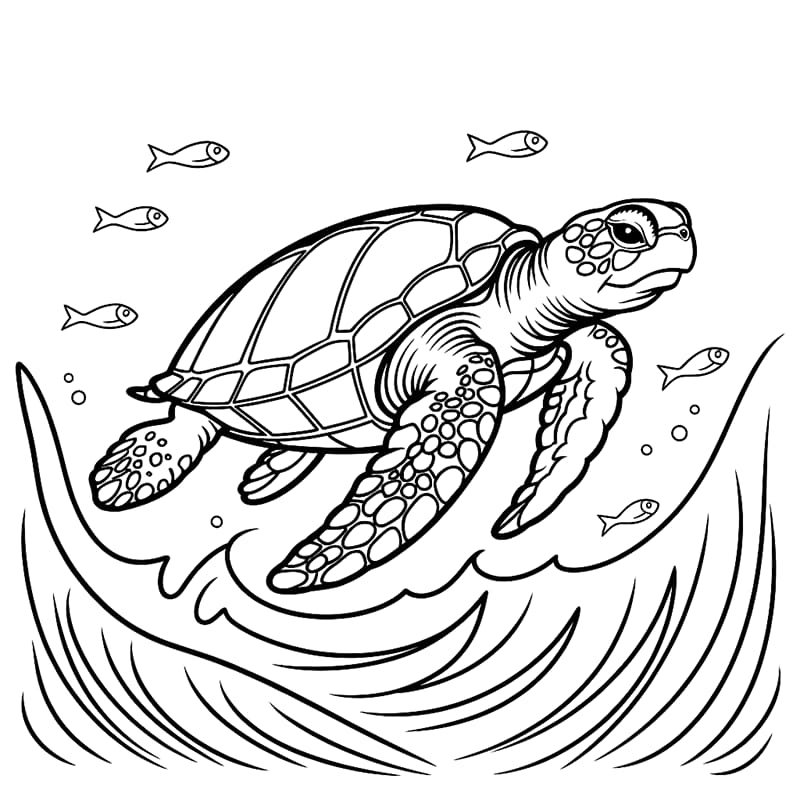 Tartarughe marine e pesci da colorare