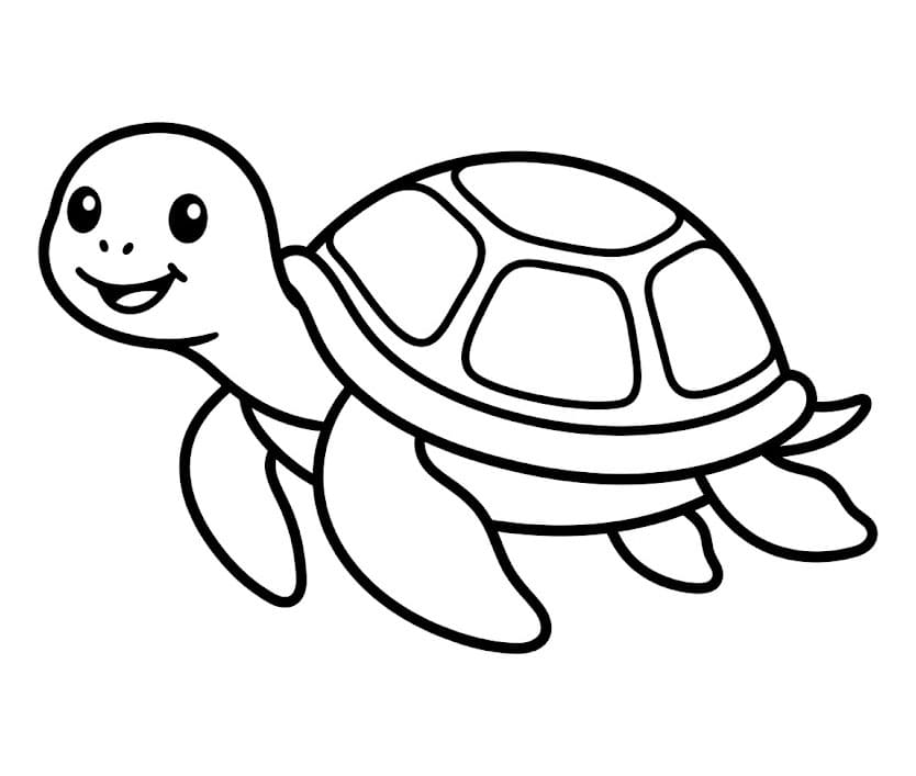 Tartarughe marine felici da colorare