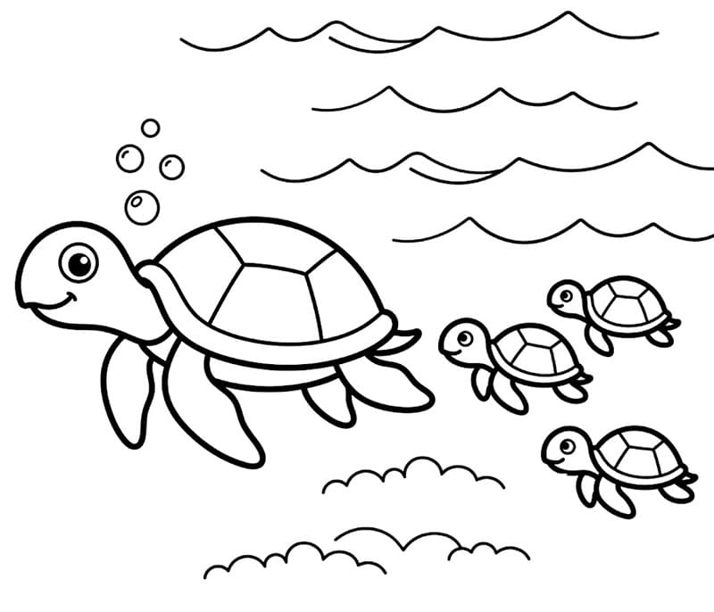 Tartarughe marine grandi e piccole da colorare