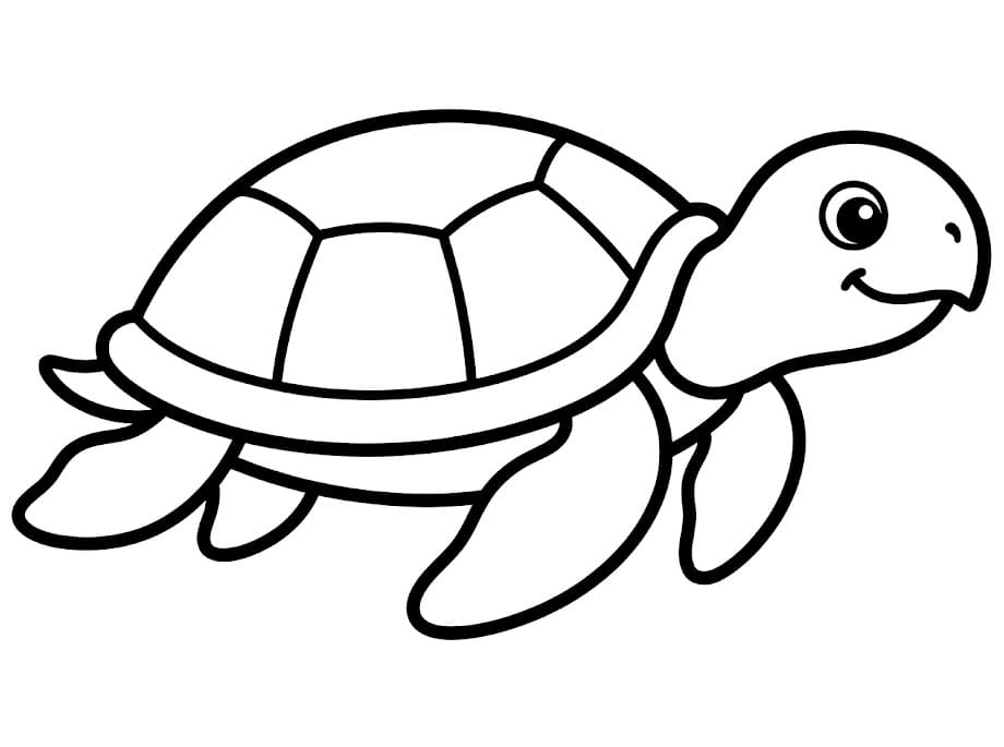Tartarughe marine nuotano da colorare