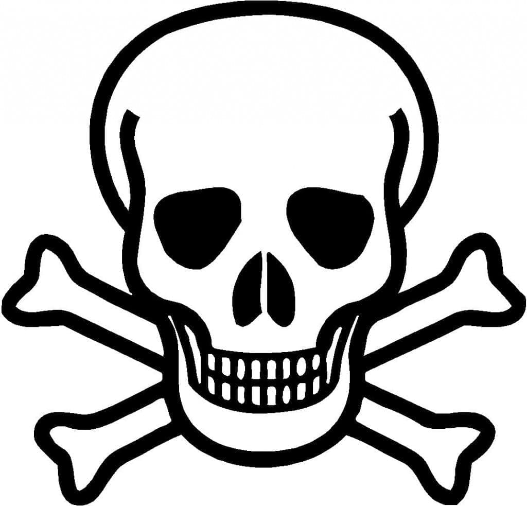 Teschio molto facile da colorare