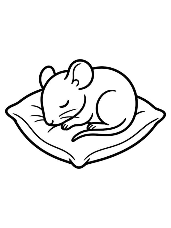 Topo che dorme su un cuscino da colorare