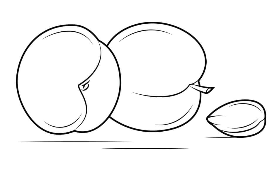 Tre albicocche da colorare