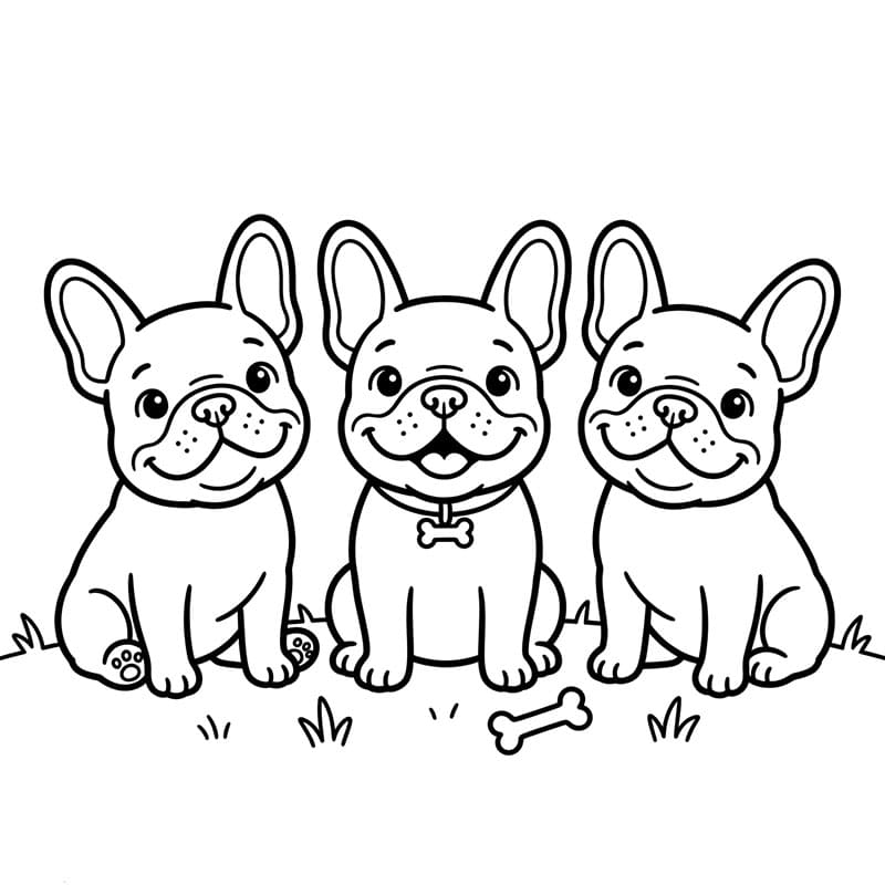Tre bulldog francesi da colorare