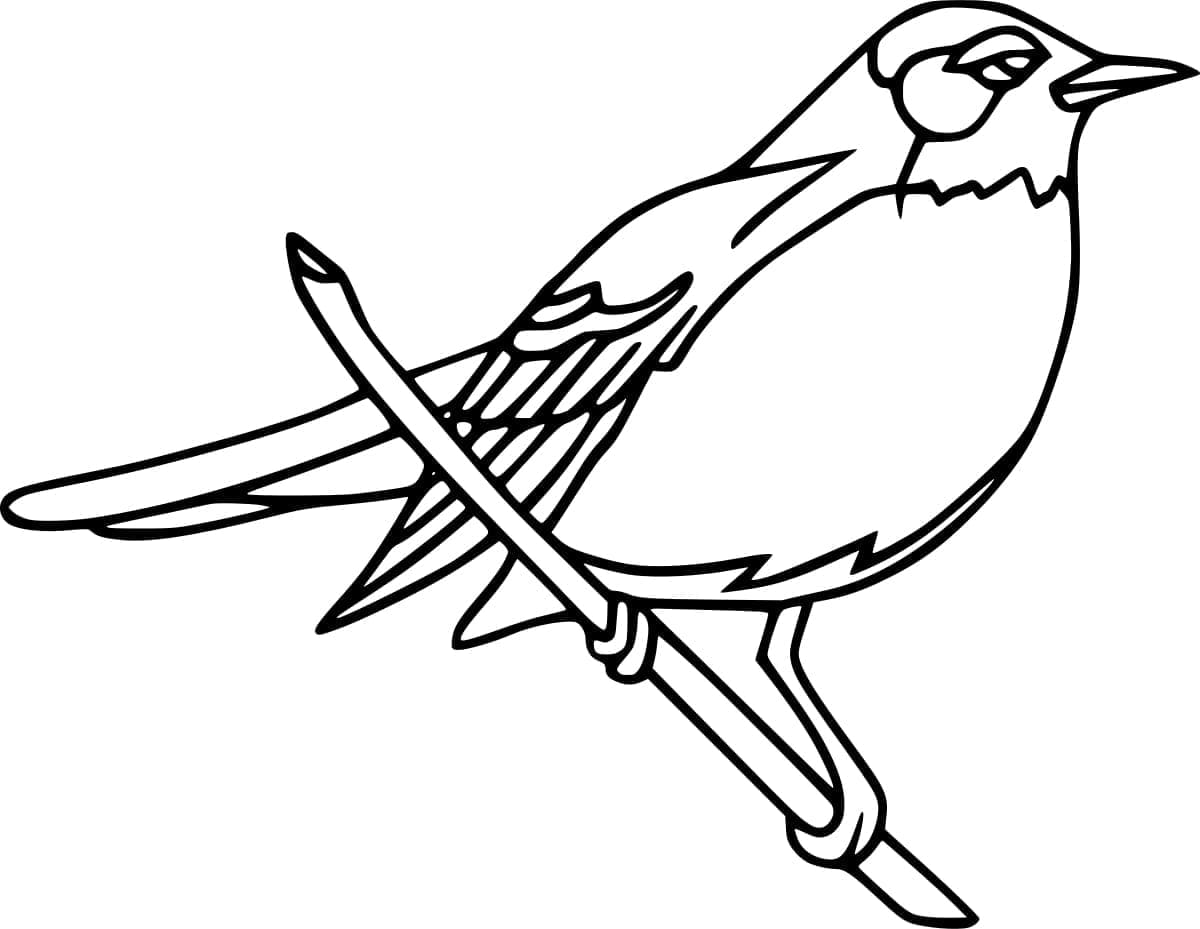 Disegni Di Colosseo Da Colorare Disegni Colorare Com Disegni Di Colosseo Da Colorare Disegni Colorare Com