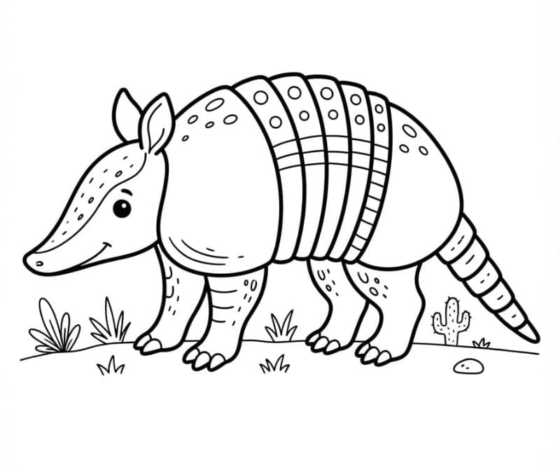 Un armadillo carino da colorare