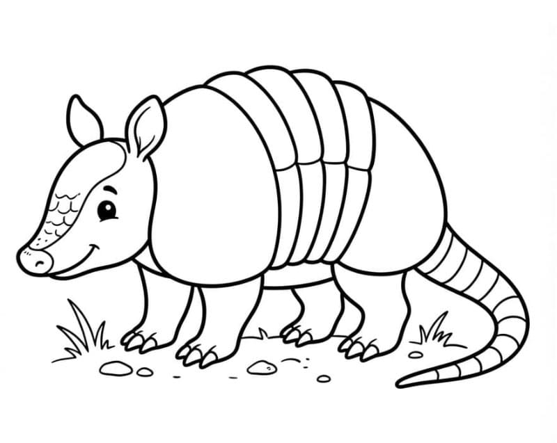 Un armadillo molto carino da colorare