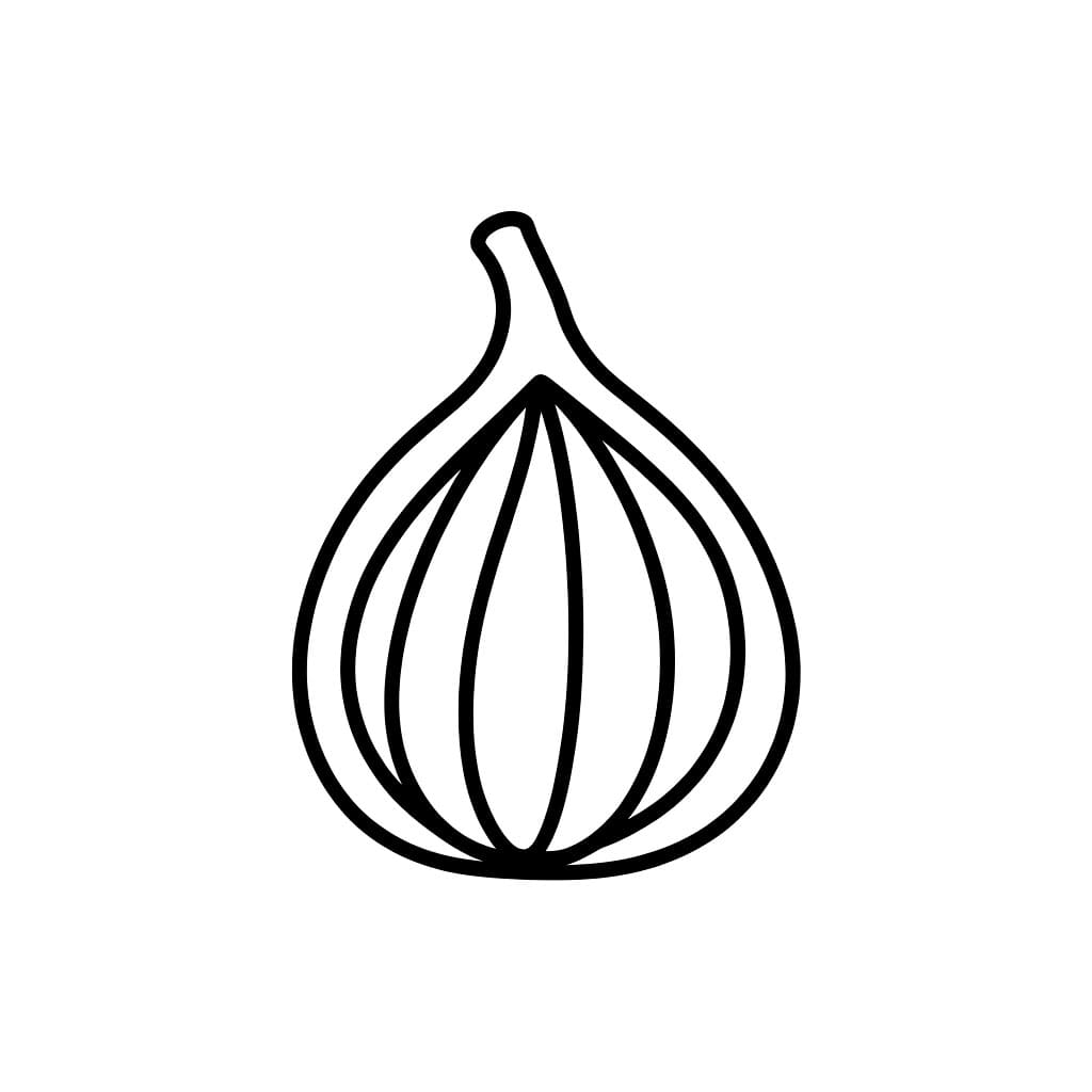 Un fico molto semplice da colorare