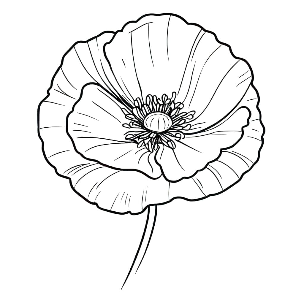 Tappeto Da Parete O Copriletto Floreale ABAKUHAUS – Papavero E Camomilla, 230x140 Cm, Blu E Bianco