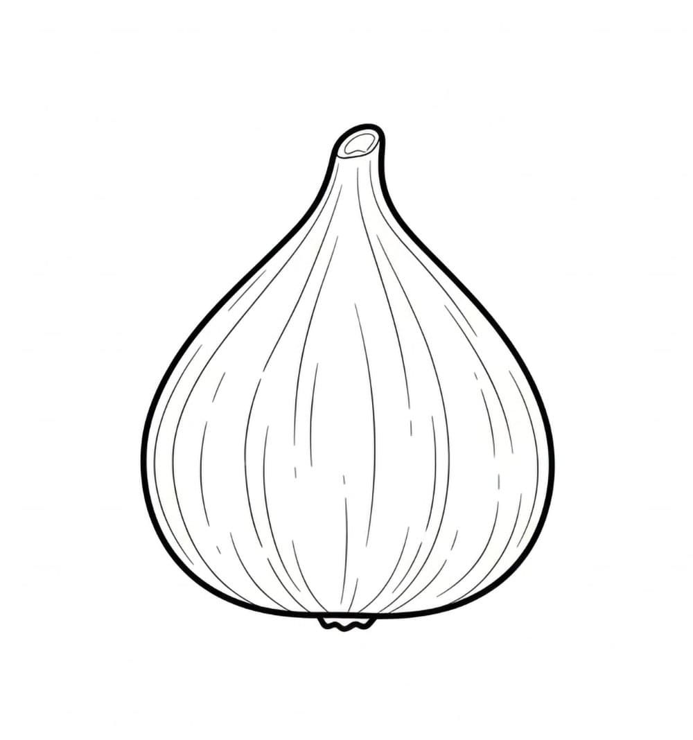 Un semplice fico da colorare