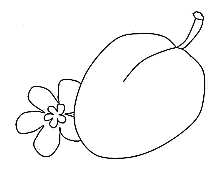 Una prugna da colorare