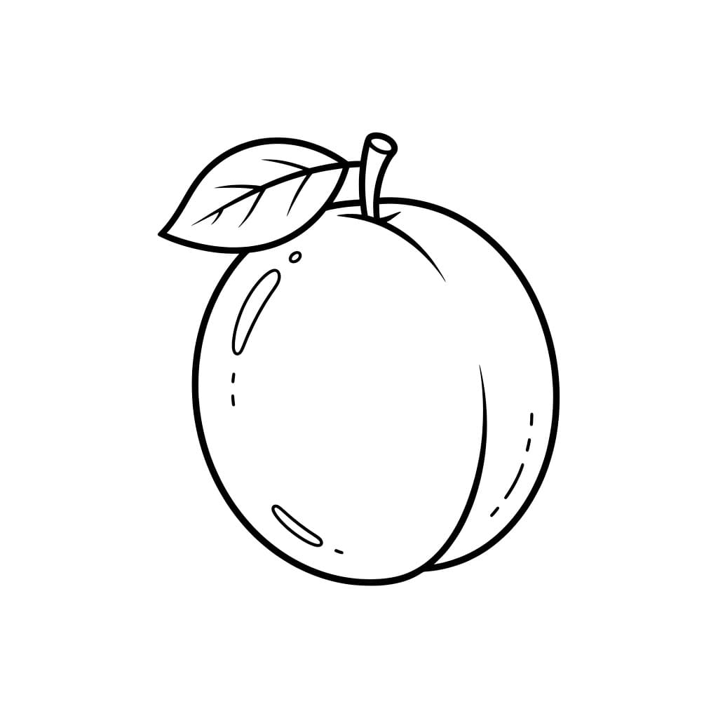 Una semplice prugna da colorare