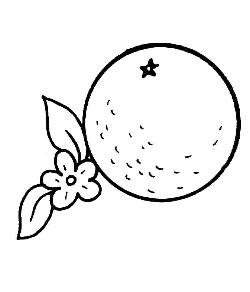 Un'arancia da colorare