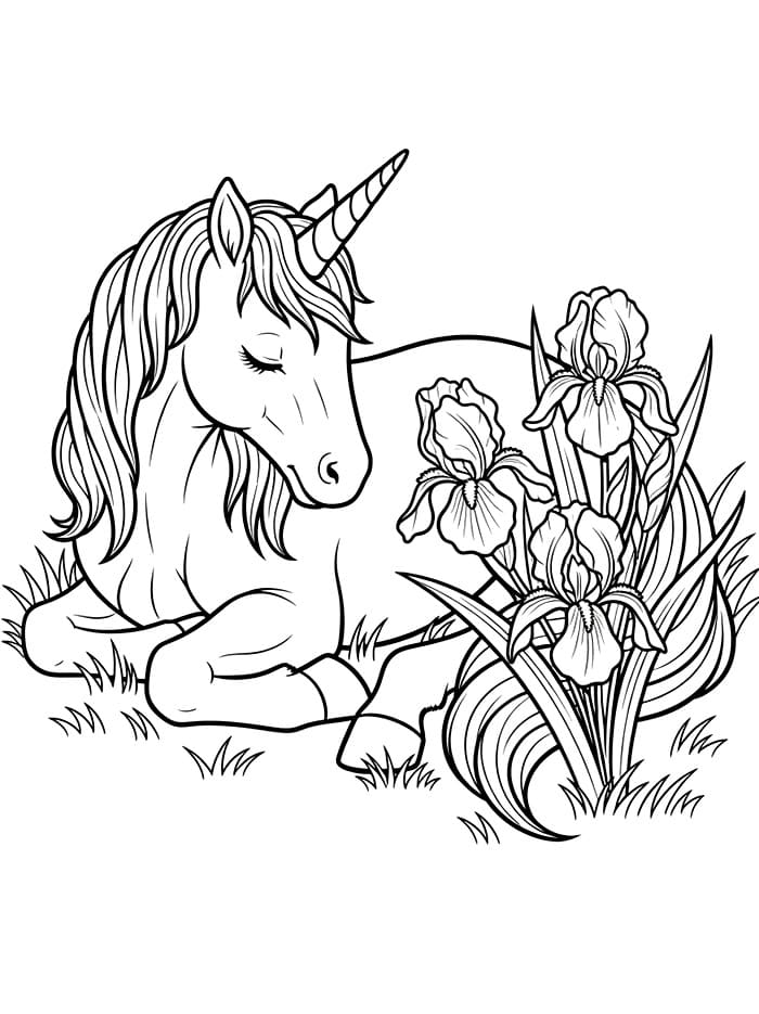 Unicorno e Iris da colorare