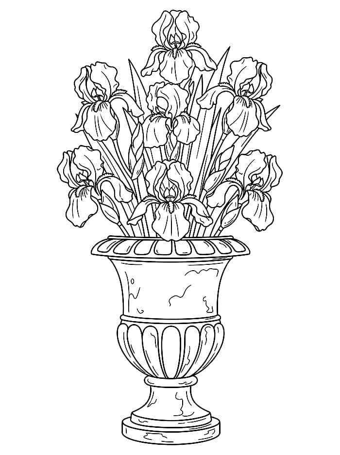 Vaso con Iris da colorare
