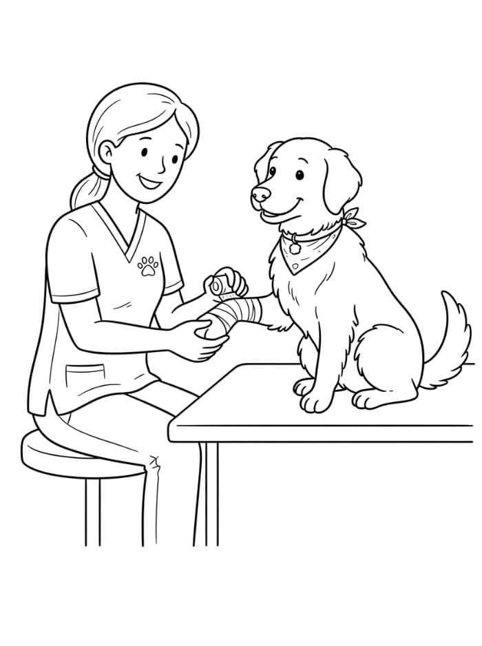 Veterinari da colorare