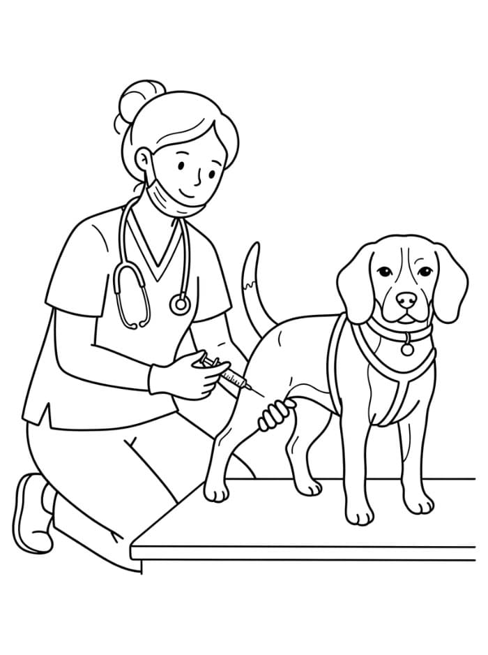 Veterinari che effettua iniezione da colorare