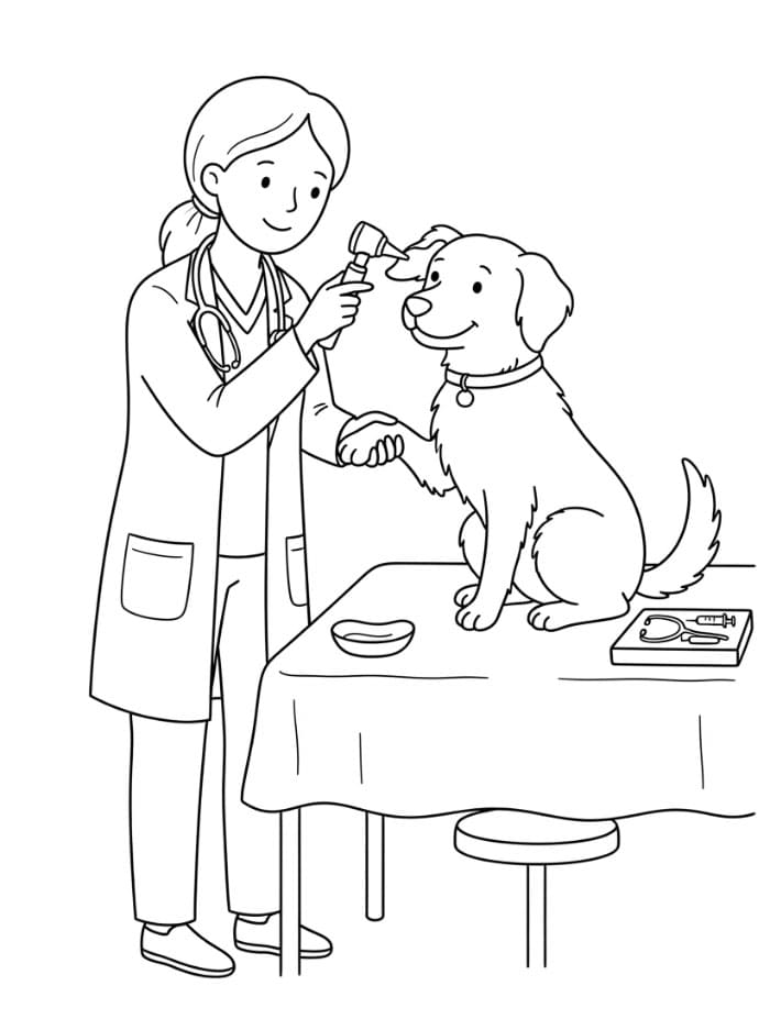 Veterinari durante visita da colorare