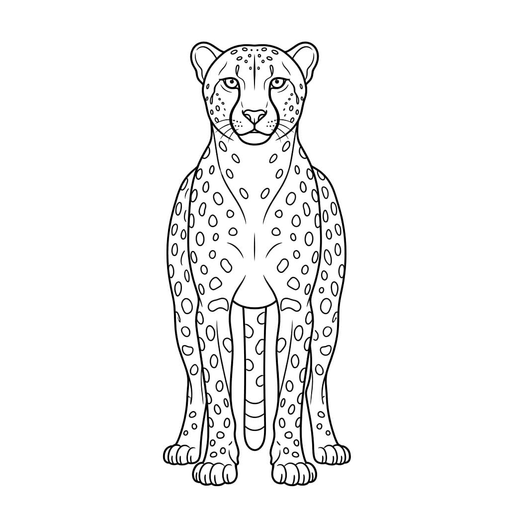 Vista frontale del ghepardo da colorare