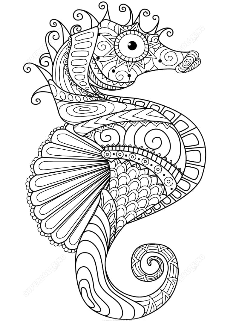 Zentangle Cavalluccio Marino da colorare