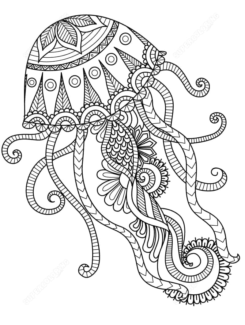 Zentangle Medusa da colorare