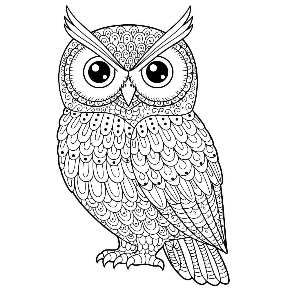 Zentangle il gufo da colorare