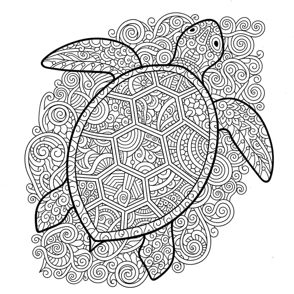 Zentangle la tartaruga da colorare