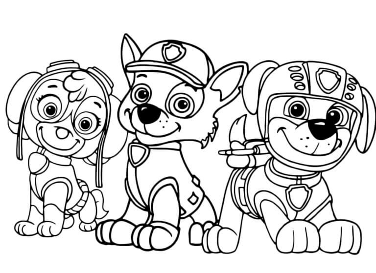 Zuma Skye e Rocky da colorare