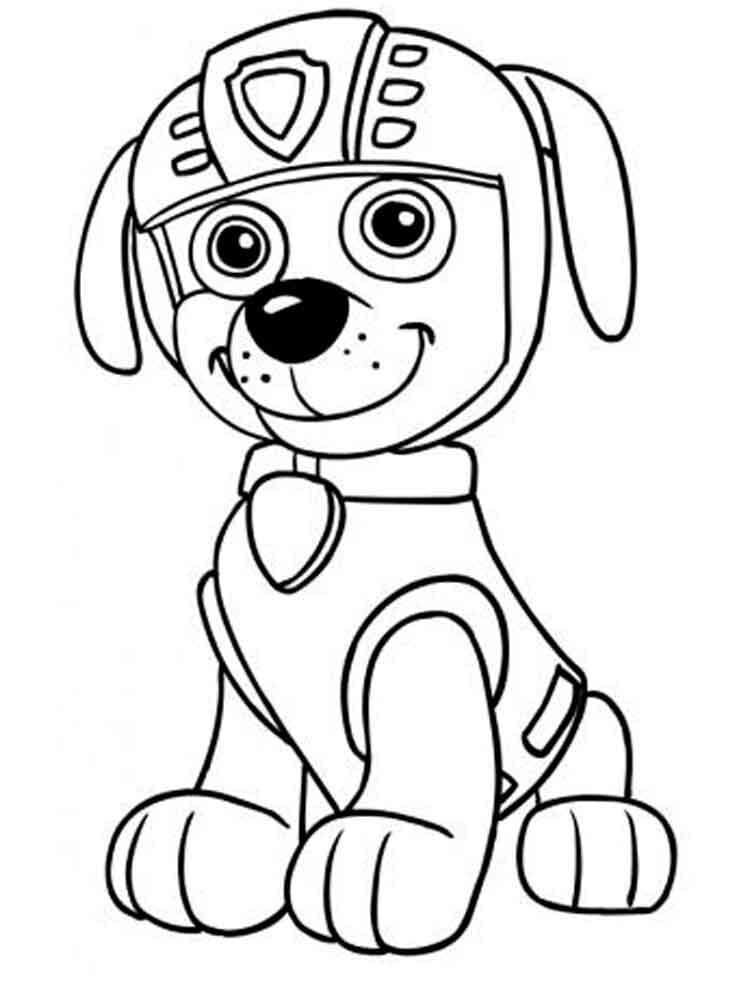 Zuma Paw Patrol
