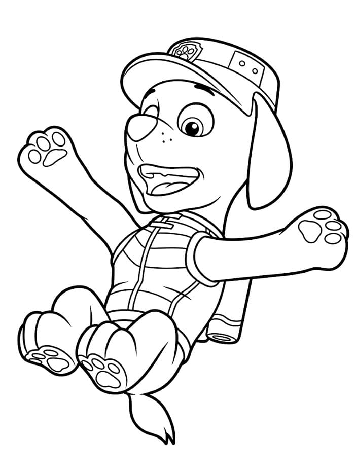 Zuma di Paw Patrol è divertente da colorare
