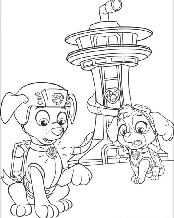 Zuma e Skye di Paw Patrol da colorare