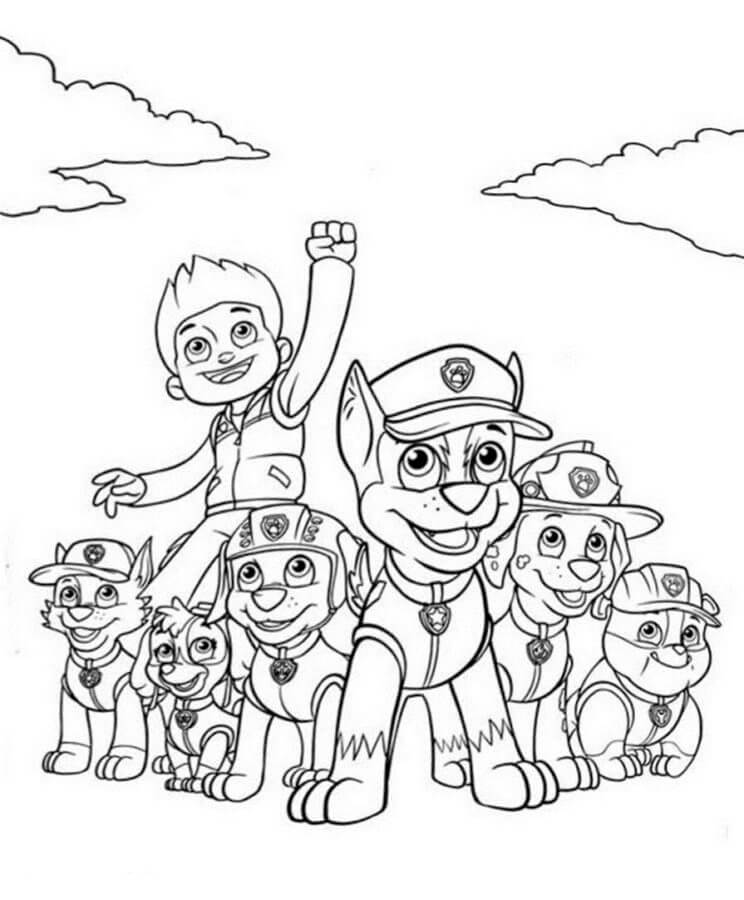 Zuma fantastico e la sua squadra da colorare
